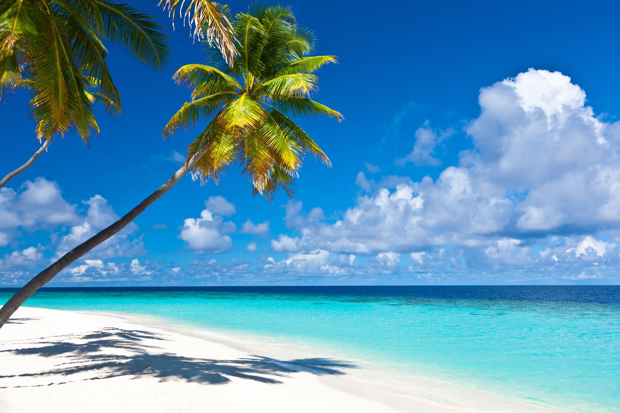 caribbean-happy-vacations